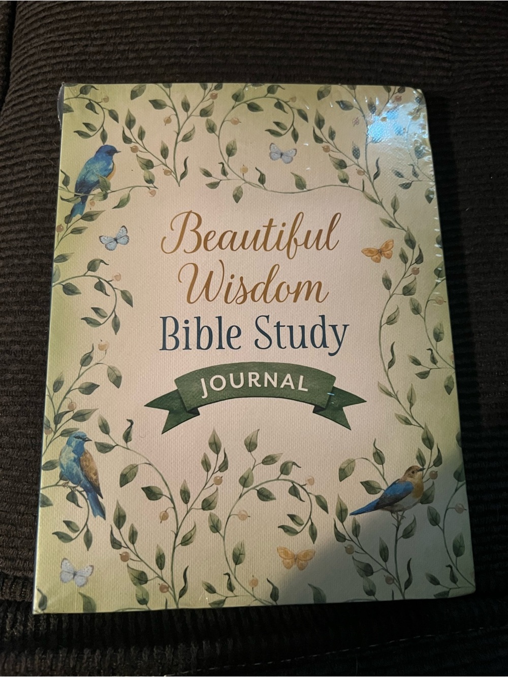 Beautiful Wisdom Bible Study Journal -